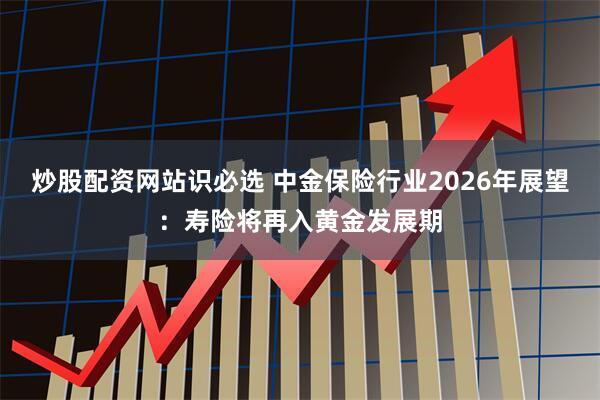 炒股配资网站识必选 中金保险行业2026年展望：寿险将再入黄金发展期