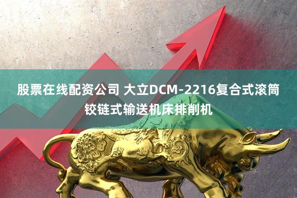 股票在线配资公司 大立DCM-2216复合式滚筒铰链式输送机床排削机